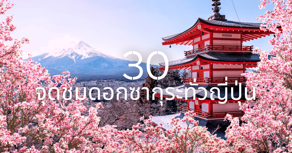 ไปแล้วไม่ผิดหวัง! 30 พิกัดชม ซากุระ ญี่ปุ่น สวยสุดปักหมุดไว้ได้เลย