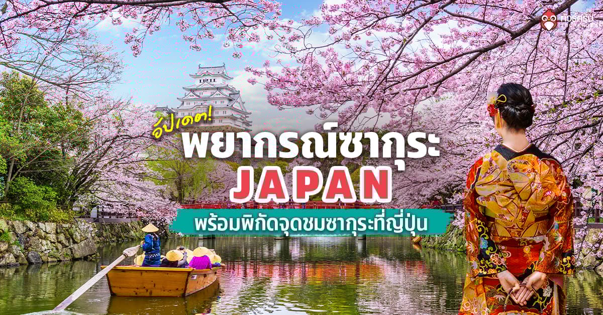 อัปเดต!พยากรณ์ซากุระญี่ปุ่น 2026 และพิกัดจุดชมสวยตะลึง บานเดือนไหน เมืองไหนดี?