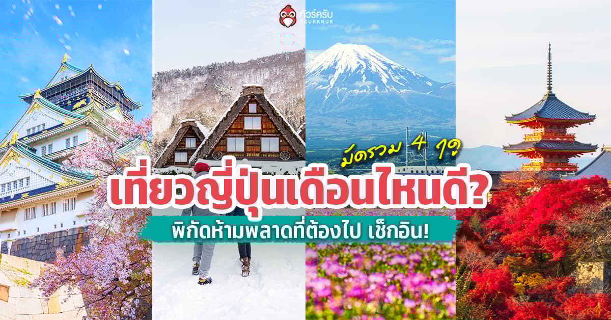 เที่ยวญี่ปุ่นเดือนไหนดี 2569? มัดรวม 4 ฤดู พิกัดจึ้งที่ต้องไปเช็กอิน