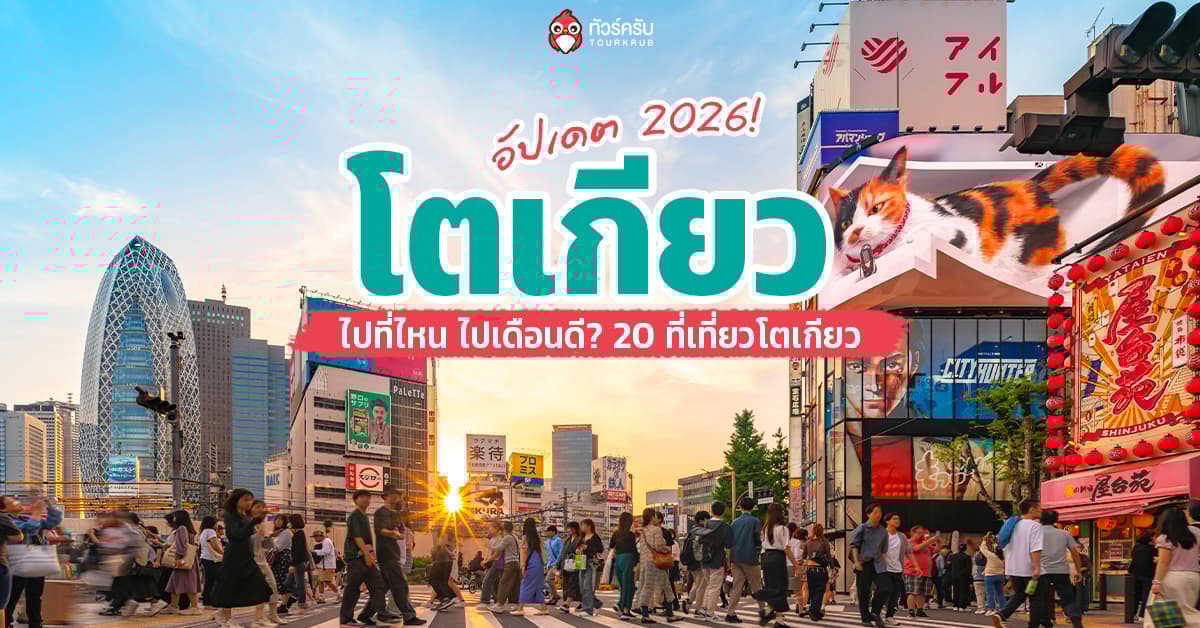 เที่ยวโตเกียว ไปที่ไหน ไปเดือนดี? อัปเดต 20 ที่เที่ยวโตเกียวญี่ปุ่นล่าสุด 2026