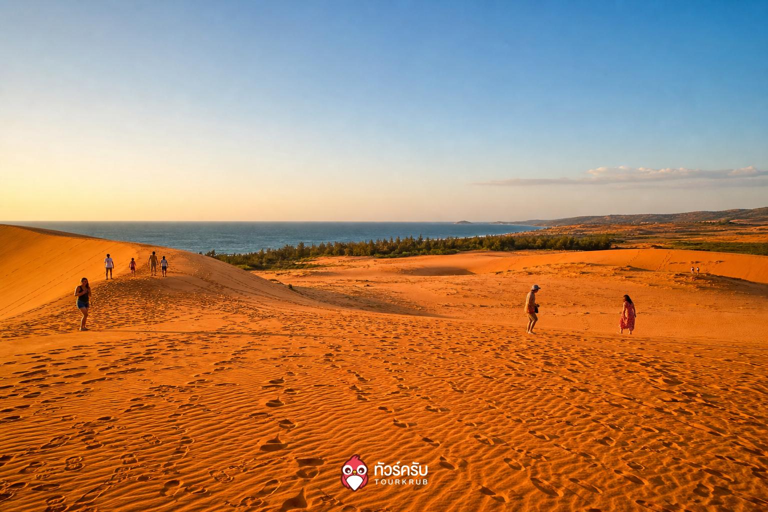 ที่เที่ยวเวียดนาม ทะเลทรายแดงมุยเน่ (Red Sand Dunes)