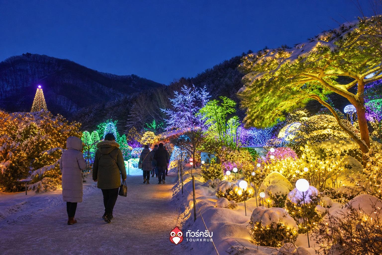 ที่เที่ยวโซลหน้าหนาว สวนแห่งความสงบยามเช้า (The Garden of Morning Calm)