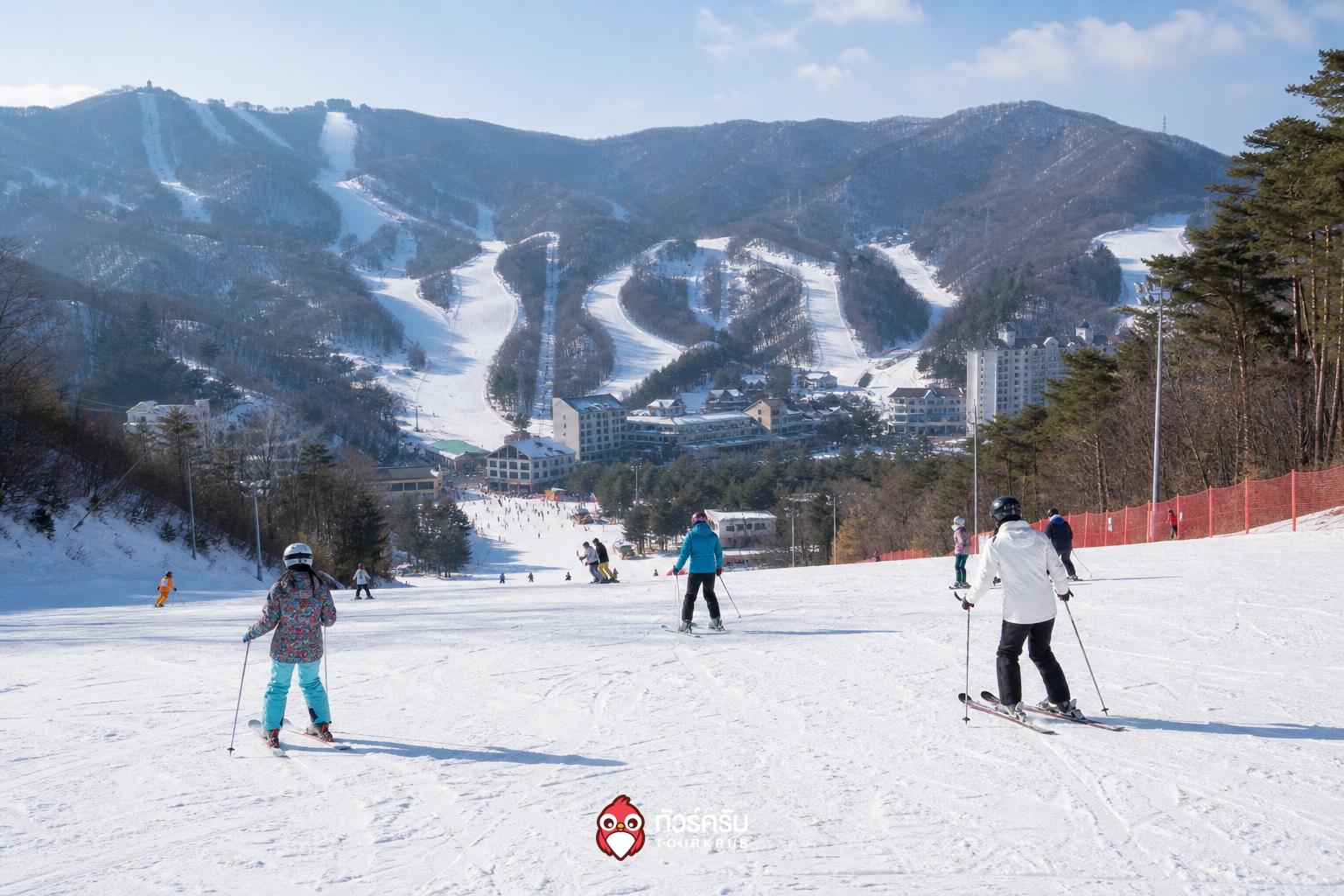 ที่เที่ยวโซลหน้าหนาว วิวัลดีพาร์ค สกีเวิลด์ (Vivaldi Park Ski World)