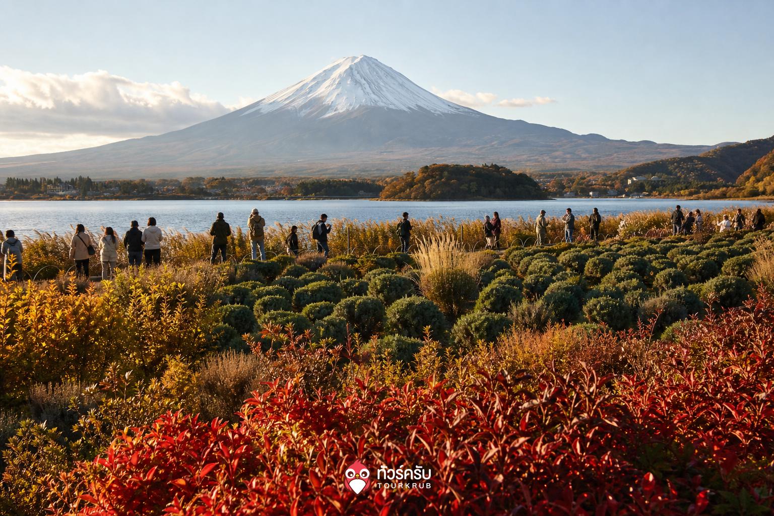ที่เที่ยวคาวากุจิโกะ สวนโออิชิ (Oishi Park)