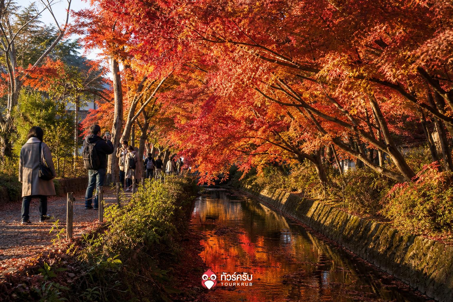 ที่เที่ยวคาวากุจิโกะ อุโมงค์ใบเมเปิล โมมิจิไคโร (Momiji Corridor)