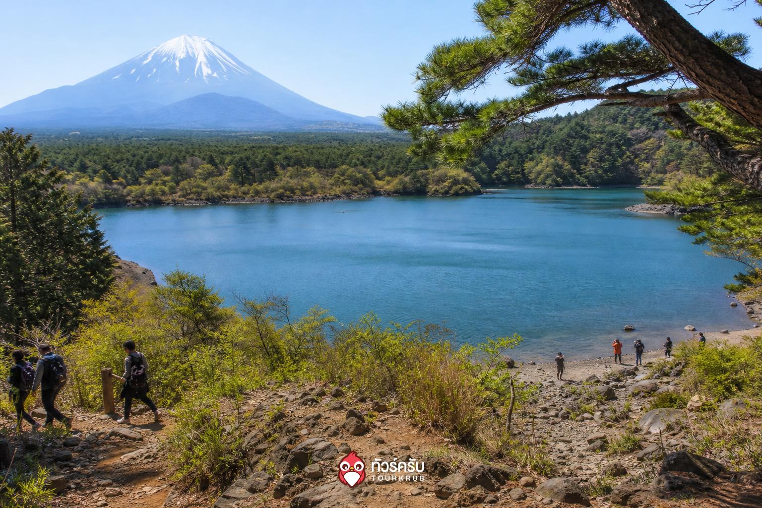 ที่เที่ยวคาวากุจิโกะ ทะเลสาบไซโกะ (Lake Saiko)