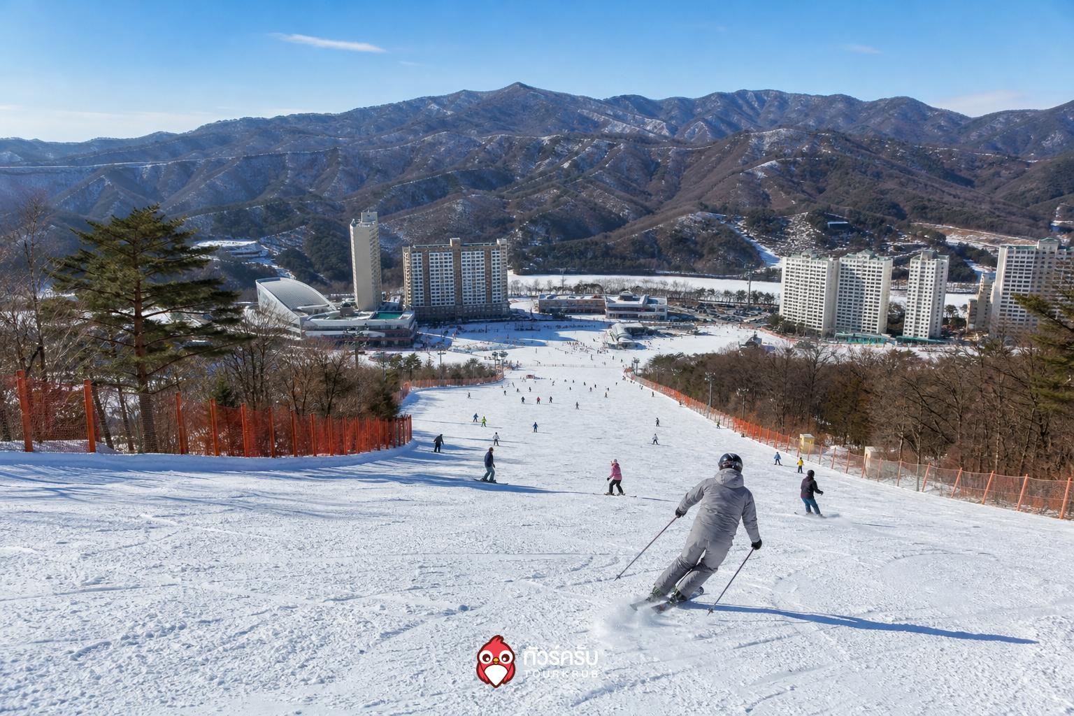 ที่เที่ยวเกาหลีหน้าหนาว วิวัลดีพาร์ก สกีเวิลด์ (Vivaldi Park Ski World)
