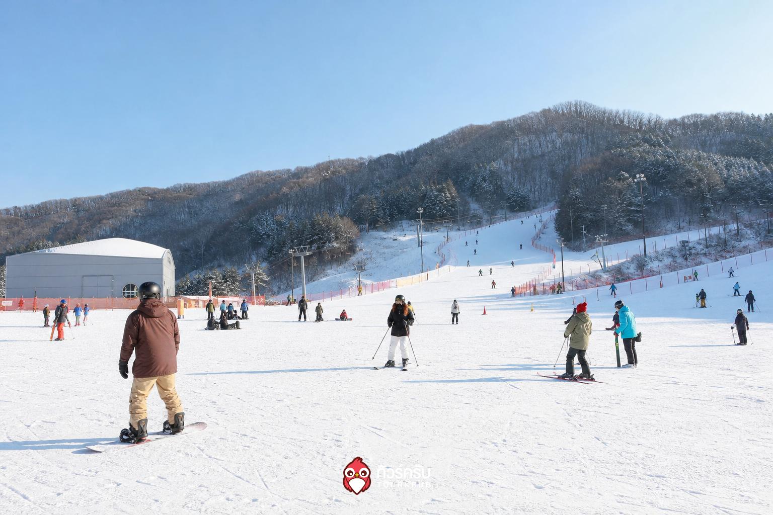 ที่เที่ยวเกาหลีหน้าหนาว เอลิเซียน คังชน สกีรีสอร์ต (Elysian Gangchon Ski Resort)