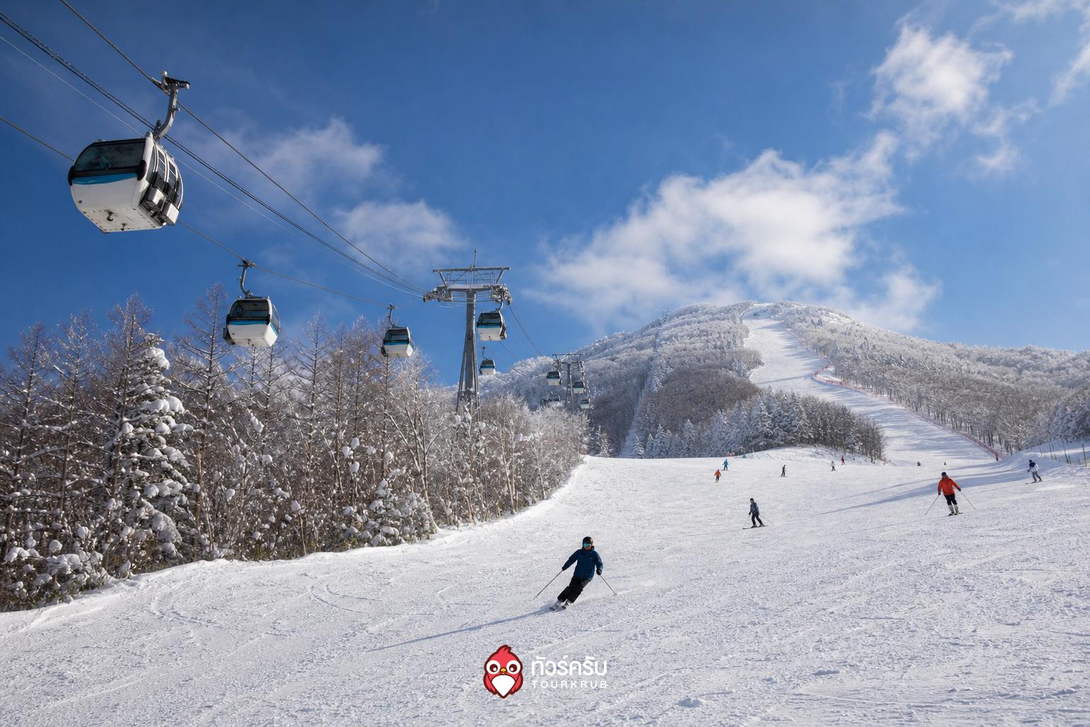 ที่เที่ยวเกาหลีหน้าหนาว ยงพยองรีสอร์ต (Yongpyong Resort)
