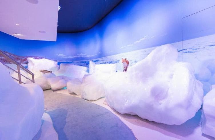 พิพิธภัณฑ์น้ำแข็งขั้วโลก