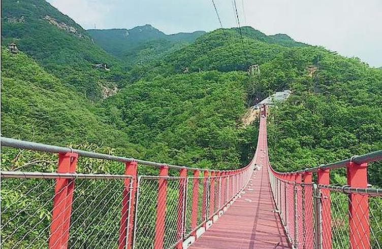 สะพานแขวน PAJU WONGYE SUSPENSION BRIDGE