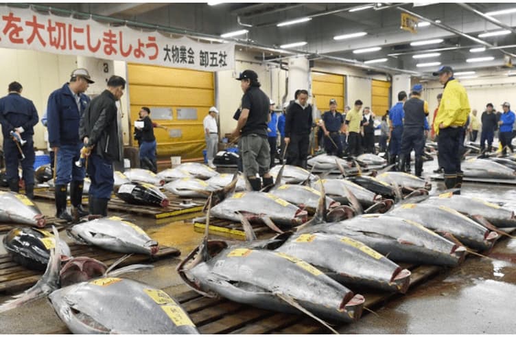 ตลาดปลาโทโยสุ