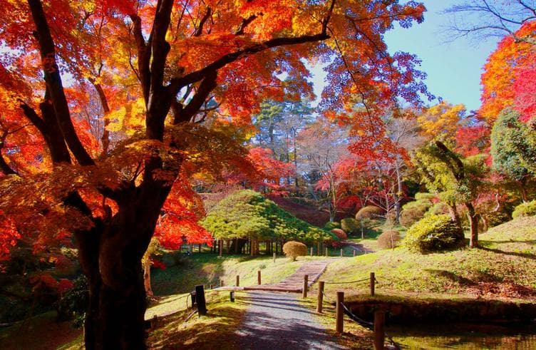 สวนปราสาทคาสุมิกะโจ