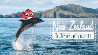 10 สถานที่ท่องเที่ยวห้ามพลาดที่นิวซีแลนด์ !!