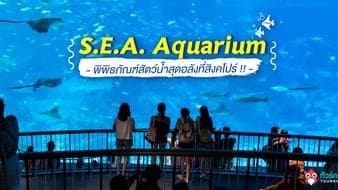 ตะลอนเที่ยว 1 วัน >> S.E.A. Aquarium พิพิธภัณฑ์สัตว์น้ำสุดอลังที่สิงคโปร์ !!