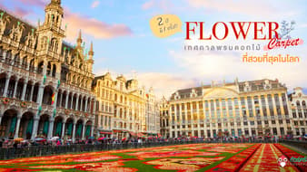 2 ปีมี 1 ครั้ง !! “เทศกาลพรมดอกไม้” บนจัตุรัสสวยสุดในโลกกลางบรัสเซลส์ ประเทศเบลเยี่ยม