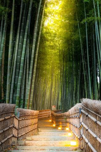 ทัวร์ญี่ปุ่น โอซาก้า โตเกียว 6 วัน 4 คืน สวนป่าไผ่เกียวโต สะพานโทเก็ตสึเคียว อิสระเที่ยวเต็มวันหรือซื้อทัวร์เสริมโตเกียวดิสนีย์แลนด์ บิน XW
