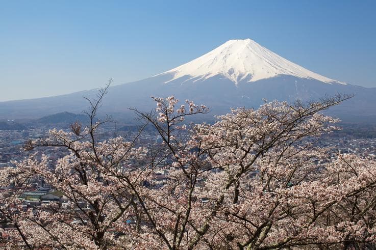ทัวร์ญี่ปุ่น โตเกียว 5 วัน 3 คืน ภูเขาไฟฟูจิ(ชั้น5) พระใหญ่อุชิคุไดบุตสึ ชมซากุระที่สวนอุเอโนะ บิน XW