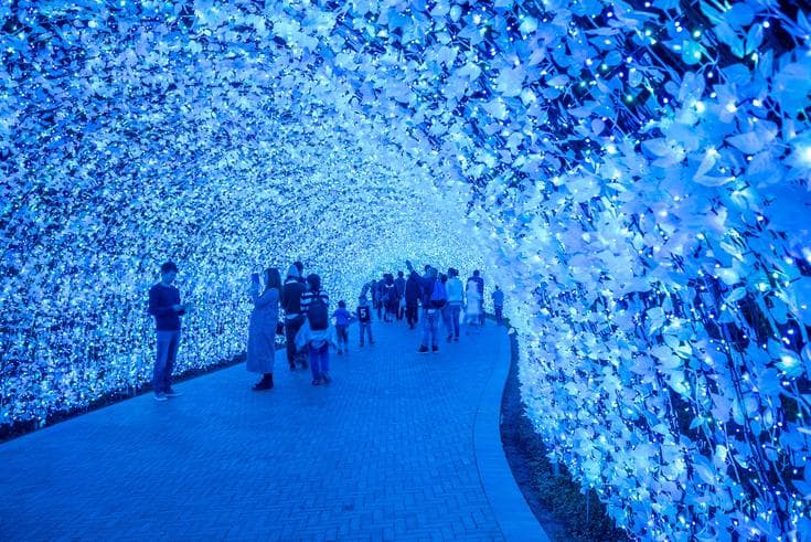 ทัวร์ญี่ปุ่น นาโกย่า 7 วัน 4 คืน สวนสนุกฟูจิคิวไฮแลนด์ เทศกาลNABANA NO SATO บิน TG