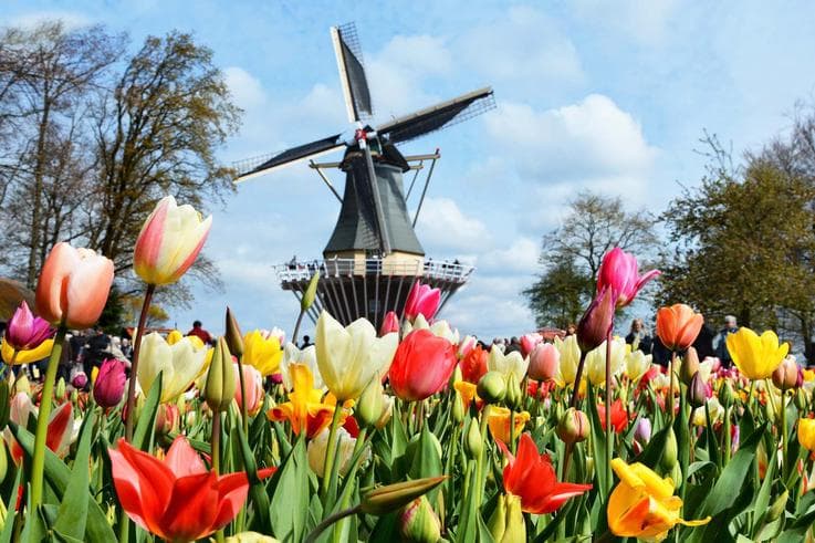 ทัวร์ยุโรป เบลเยี่ยม เนเธอร์แลนด์ ฝรั่งเศส 8 วัน 5 คืน สวนดอกทิวลิปเคอเคนฮอฟ หมู่บ้านแห่งสายน้ำกีธูร์น บิน TG