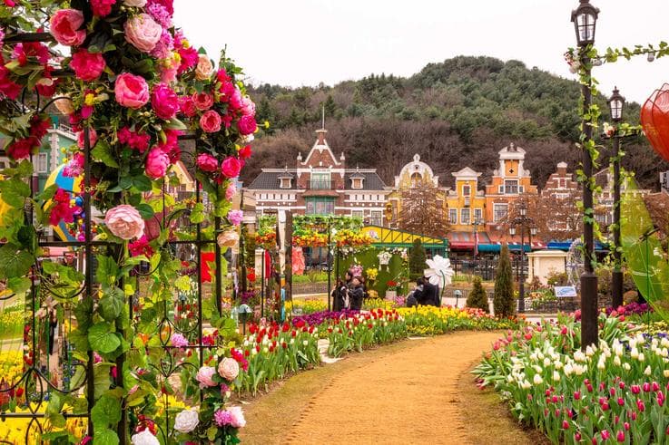ทัวร์เกาหลี กรุงโซล 6 วัน 3 คืน เทศกาลดอกทิวลิป ณ สวนสนุกเอเวอร์แลนด์ ตระการตาซากุระ ณ ยออิโด  บิน XJ     