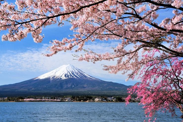 ทัวร์ญี่ปุ่น โตเกียว 5 วัน 3 คืน ภูเขาไฟฟูจิ(ชั้น5) ชมซากุระริมทะเลสาบคาวากูจิโกะ *(เฉพาะช่วงซากุระบาน) บิน XW