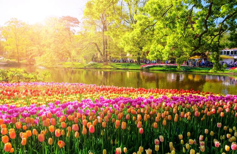 ทัวร์ยุโรป อิตาลี สวิส ฝรั่งเศส เบลเยี่ยม เนเธอร์แลนด์ 10 วัน 7 คืน พิชิตยอดเขาจุงเฟรา เทศกาลดอกไม้สวนเคอเคนฮอฟ บิน TG