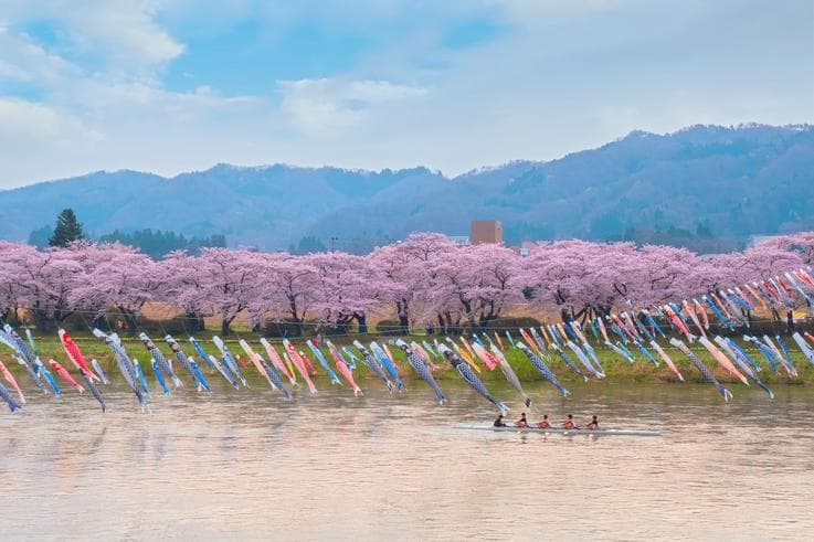 ทัวร์ญี่ปุ่น โทโฮคุ 10 วัน 8 คืน เทศกาลชมซากุระ...ริมแม่น้ำคิตะคามิ ปราสาทฮิโรซากิ กำแพงหิมะฮาจิมันไต บิน TG