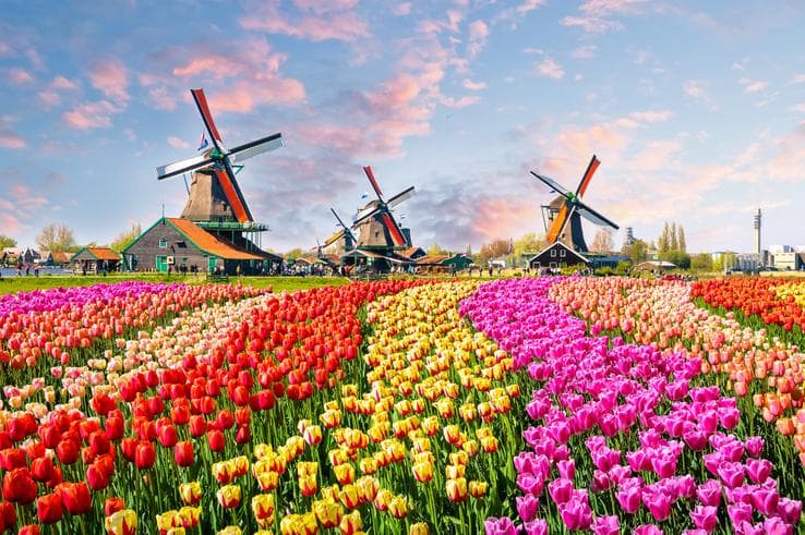 ทัวร์ยุโรป เยอรมนี ลักเซมเบิร์ก เนเธอร์แลนด์ เบลเยี่ยม 8 วัน 5 คืน ปราสาทไฮเดลเบิร์ก เทศกาลดอกไม้ที่สวนเคอเคนฮอฟ บิน TG