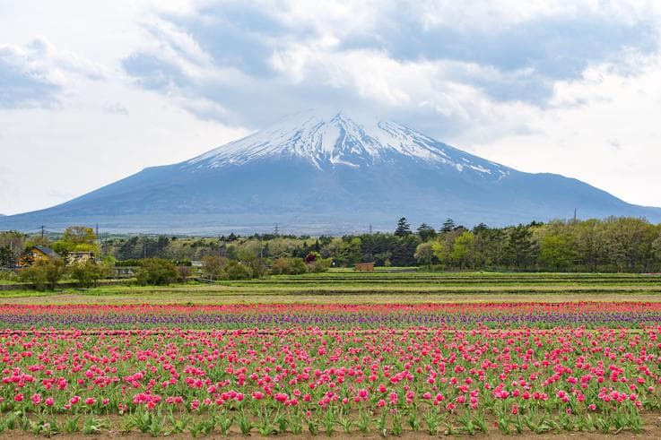 ทัวร์ญี่ปุ่น นาโกย่า ทาคายาม่า 5 วัน 3 คืน เยือนหมู่บ้านชิราคาวาโกะ ชมสวนดอกไม้ฮานะโนะมิยาโกะ บิน XJ
