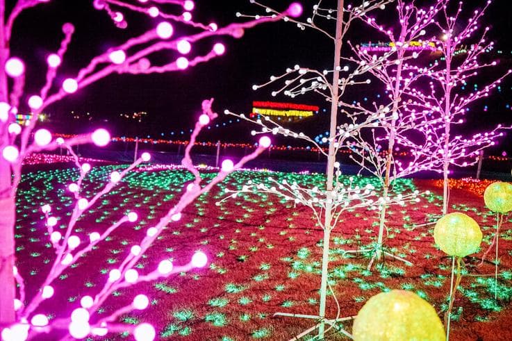 ทัวร์ญี่ปุ่น โอซาก้า โตเกียว 6 วัน 3 คืน งานประดับไฟหมู่บ้านเยอรมัน เทศกาลแสงสีนาบานะโนะซาโตะ บิน XJ