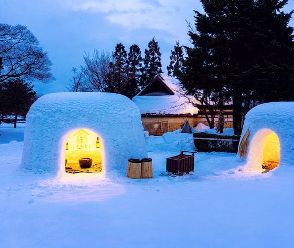 ทัวร์ญี่ปุ่น ฮอกไกโด 5 วัน 3 คืน หมู่บ้านหิมะมัคคะริ หุบเขานรกจิโกกุดานิ บิน XJ