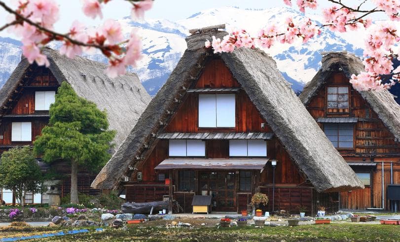 ทัวร์ญี่ปุ่น นาโกย่า ทาคายาม่า 5 วัน 3 คืน ปราสาทมัตสึโมโต้ หมู่บ้านชิราคาวาโกะ บิน XJ