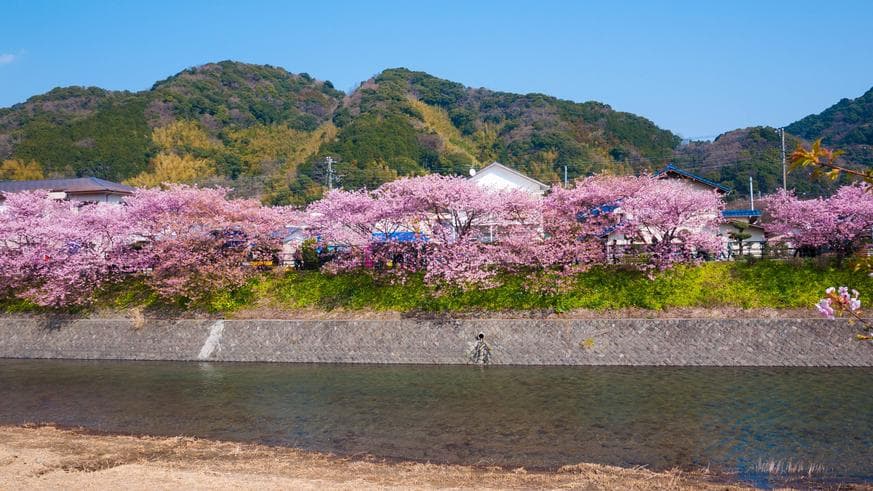 ทัวร์ญี่ปุ่น โอซาก้า โตเกียว 7 วัน 4 คืน สวนสนุกยูนิเวอร์แซลสตูดิโอเจแปน เทศกาลคาวาซึซากุระ บิน TG