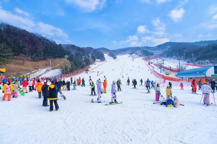 ทัวร์เกาหลี โซล 6 วัน 3 คืน เทศกาลตกปลาน้ำแข็ง ลานสกียงเพียง เดอะการ์เด้นออฟมอร์นิ่งคาล์ม บิน TG