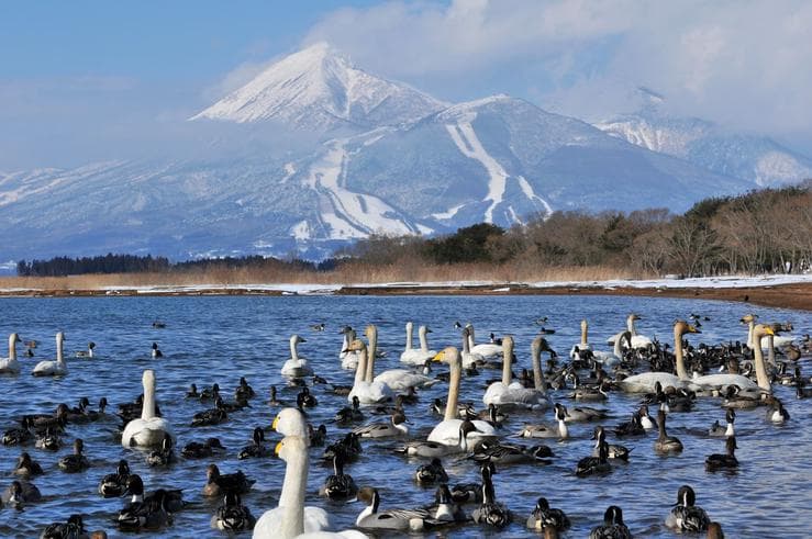 ทัวร์ญี่ปุ่น นิกโก้ เซนได 5 วัน 3 คืน น้ำตกเคกอน ทะเลสาบทะเลสาบอินะวะชิโระ บิน XJ