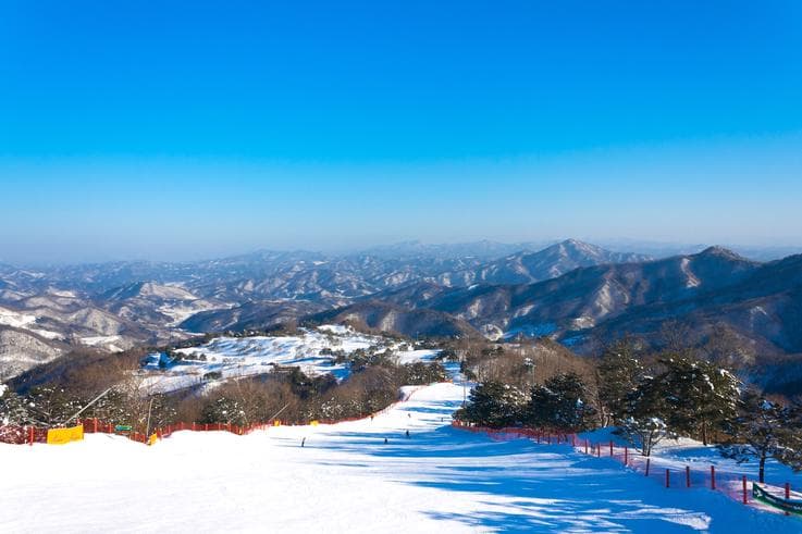 ทัวร์เกาหลี โซล 6 วัน 3 คืน สวนสนุกเอเวอร์แลนด์ เทศกาลหิมะ Asian Snow Week Festival 2019 บิน TG