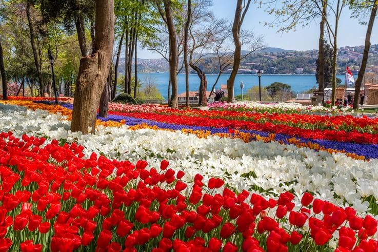 ทัวร์ตุรกี อิสตันบูล 9 วัน 7 คืน ปราสาทปุยฝ้าย เทศกาลดอกทิวลิปสวนอิเมอร์แกนด์ ล่องเรือช่องแคบบอสฟอรัส บิน TK
