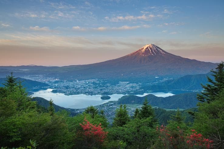 ทัวร์ญี่ปุ่น โอซาก้า โตเกียว 6 วัน 4 คืน ภูเขาไฟฟูจิ วัดอาซากุสะ ชมซากุระแม่น้ำซาไก บิน TG