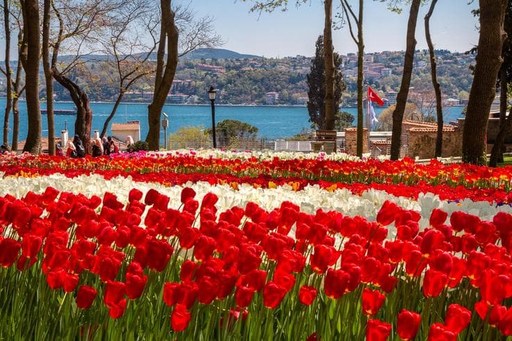 ทัวร์ตุรกี อิสตันบูล 8 วัน 6 คืน ปราสาทปุยฝ้าย สุเหร่าสีน้ำเงิน เทศกาลดอกทิวลิปสวนอีเมอร์กัน บิน TK