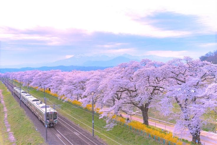ทัวร์ญี่ปุ่น นิกโก้ เซนได 6 วัน 4 คืน ฮิโตะเมะเซ็มบงซากุระ สถานีรถไฟยูโนคามิออนเซ็น บิน XJ