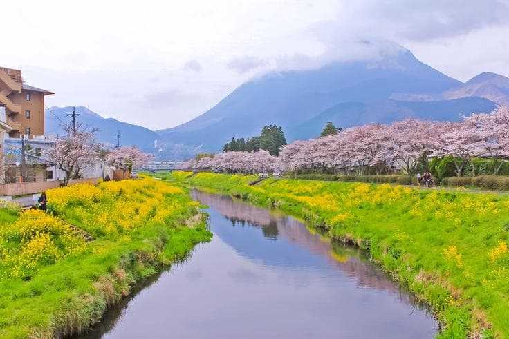 ทัวร์ญี่ปุ่น ฟุกุโอกะ 5 วัน 3 คืน ซากุระ ณ สวนริมทะเลยูมิโนนะ สวนดอกไม้นาโนะฮานะ บิน SL