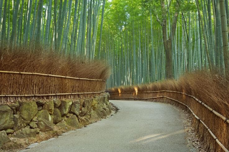ทัวร์ญี่ปุ่น โอซาก้า เกียวโต ทาคายาม่า 6 วัน 4 คืน ป่าไผ่อาราชิยาม่า หมู่บ้านชิราคาวาโกะ ชมซากุระสะพานนาคะบาชิ บิน XW