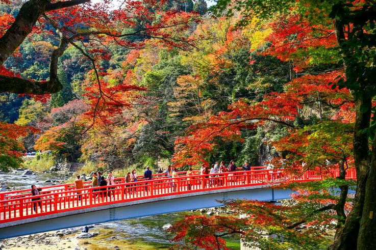 ทัวร์ญี่ปุ่น 5 วัน 3 คืน ชมใบไม้เปลี่ยนสีที่หุบเขาโครังเค วันคินคะคุจิ สะพานโทเก็ตสึเคียว สวนป่าไผ่ ช้อปปิ้งซาคาเอะ บิน XJ