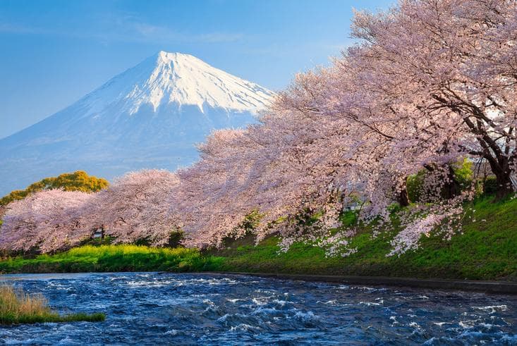 ทัวร์ญี่ปุ่น 6วัน 4คืน เทศกาลชมดอกทิวลิป วัดนาริตะซัน จุดชมวิวชั้น 5 ภูเขาไฟฟูจิ บิน XJ