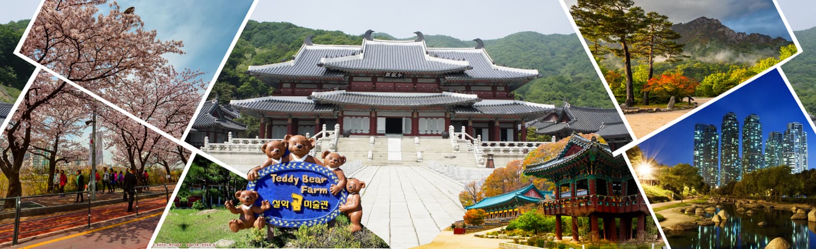 ทัวร์เกาหลี กรุงโซล  5 วัน 3 คืน (เมษายน เทศกาลชมดอกซากุระ “เกาะยออิโด”) บิน LJ
