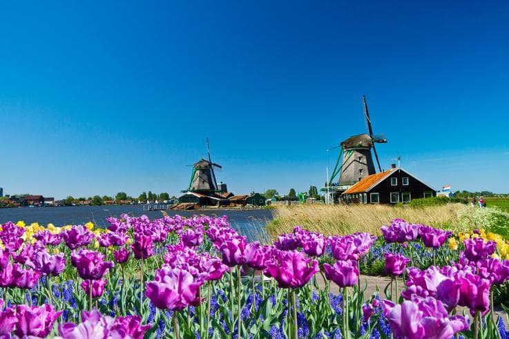 ทัวร์ยุโรปตะวันออก เนเธอร์แลนด์ เยอรมนี ลักเซมเบิร์ก  7 วัน 5 คืน หมู่บ้านกังหันลมซานสคันส์ งานเทศกาลดอกไม้ที่เนเธอร์แลนด์  บิน BR