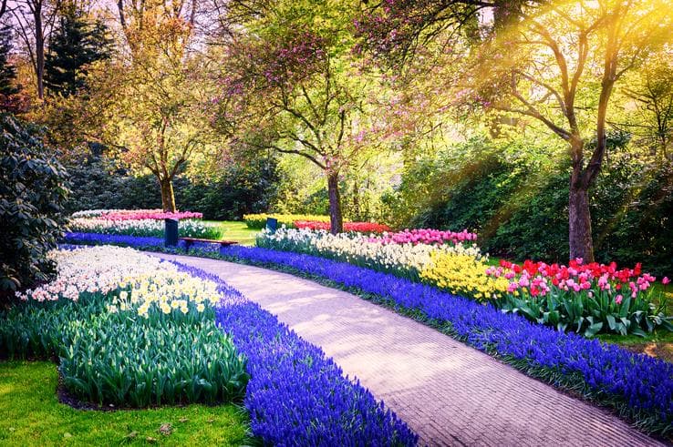 ทัวร์ยุโรปฝรั่งเศส เบลเยี่ยม เนเธอร์แลนด์ 8 วัน 5 คืน เทศกาลดอกไม้ที่สวนเคอเคนฮอฟ บิน EK