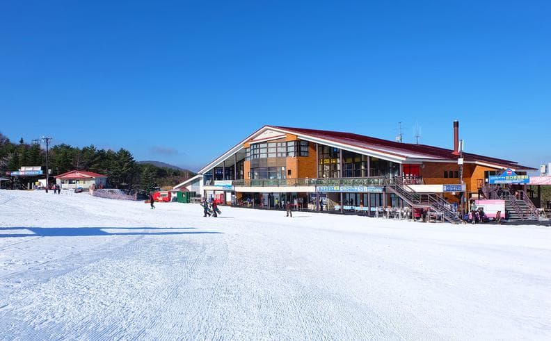 ทัวร์ญี่ปุ่น โตเกียว โอซาก้า 5 วัน 3 คืน เทศกาลแสงสี Nabana no Sato  เล่นสกี ณ ลานสกีฟูจิเท็น บิน TG