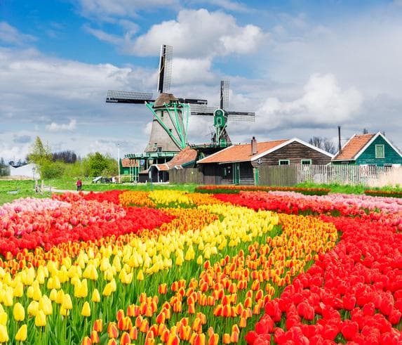ทัวร์ยุโรปเยอรมัน เนเธอร์แลนด์ เบลเยี่ยม ลักเซมเบริก์  7 วัน 5 คืน ชมงานเทศกาลดอกทิวลิป KEUKENHOF  บิน BR